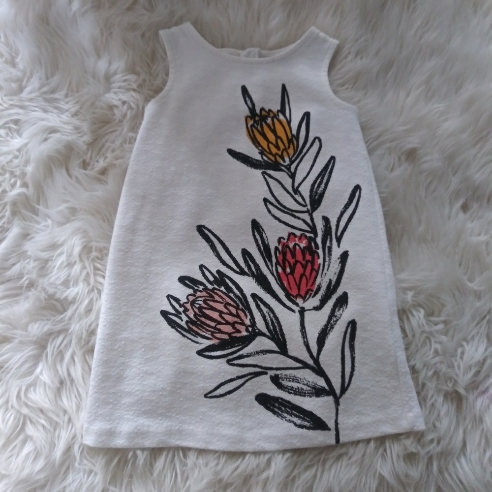 Genuine kids oshkosh dress